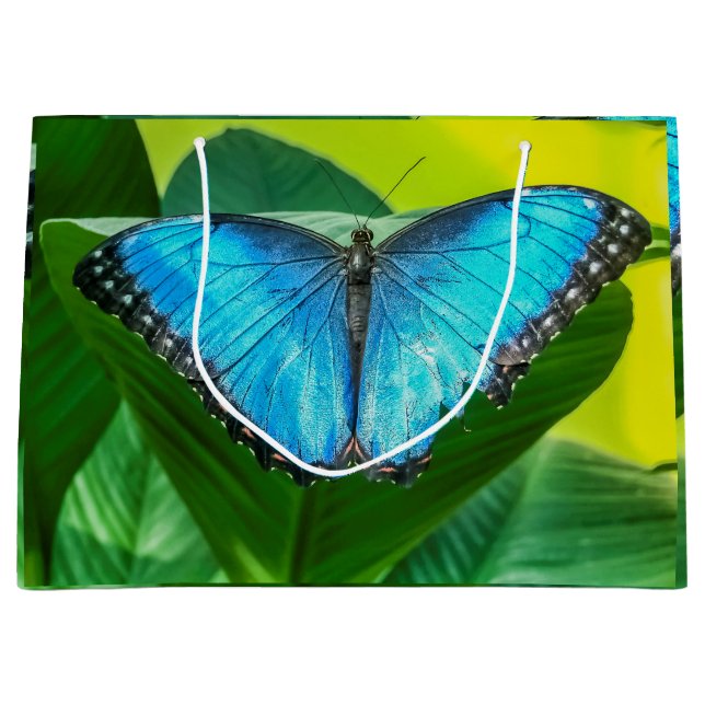 Grand Sac Cadeau Papillon bleu Morpho Floral Nature Art (Devant)