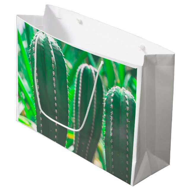 Grand Sac Cadeau Pastel Green cactus plante pastel feuille (Devant Angle)