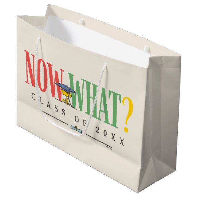 Grand Sac Cadeau Peanuts Woodstock Now What Graduation Funny Quote (Devant Angle)
