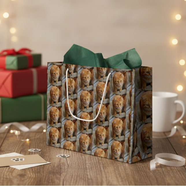 Grand Sac Cadeau Photo Pet Cat Chien Photo Personnaliser Personnali (Créateur téléchargé)