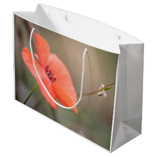 Grand Sac Cadeau Photo Poppy Nature