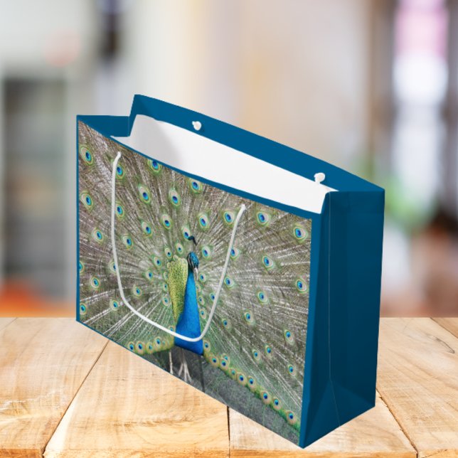 Grand Sac Cadeau Plumage bleu Peacock (In Situ)