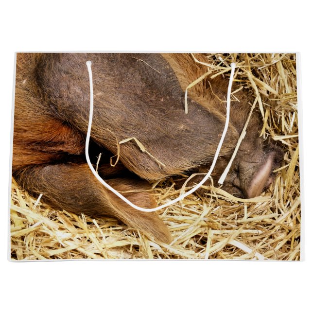 GRAND SAC CADEAU PORCS (Devant)