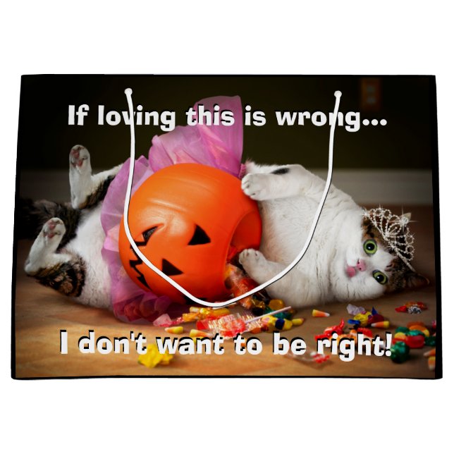 Grand Sac Cadeau Princesse Chat avec seau à bonbons (Devant)