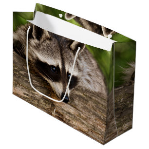 Grand Sac Cadeau Raccoon mignon reposant sur un journal