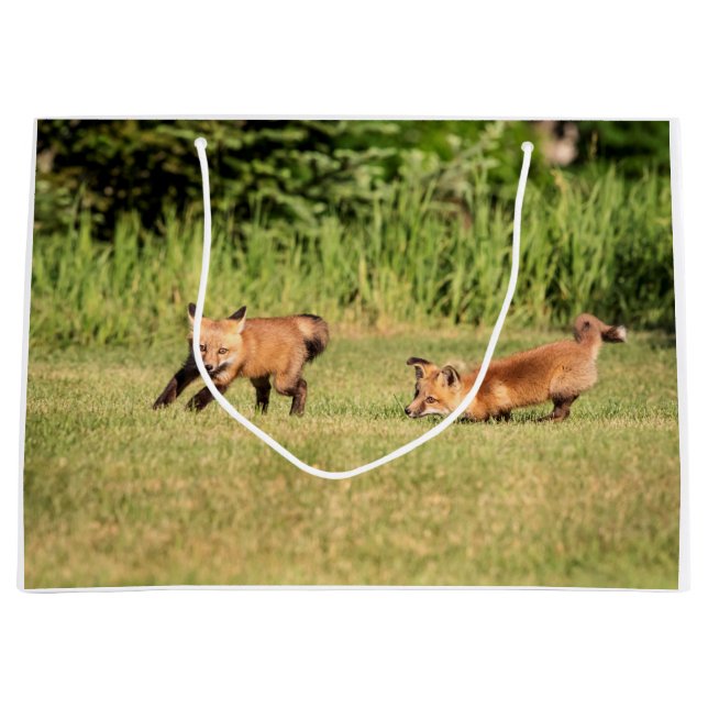Grand Sac Cadeau Red Fox Kits Jouer (Devant)
