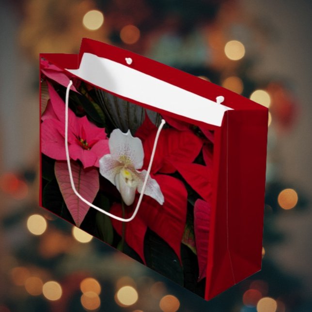 Grand Sac Cadeau Red Poinsettias et Lady Slipper Orchid Holiday (In Situ)