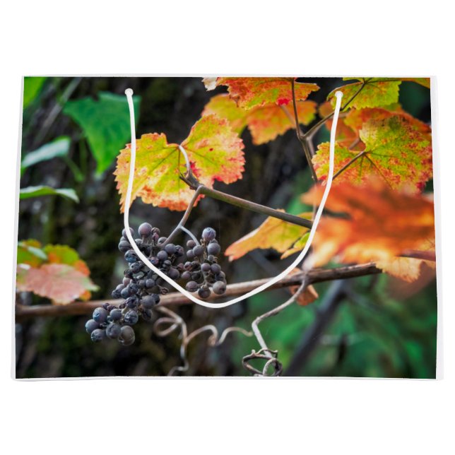 Grand Sac Cadeau Ripe Isabella (Devant)