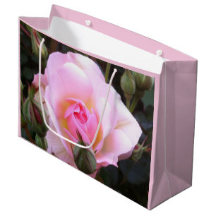 Grand Sac Cadeau Rose anglaise rose parfaite de grande taille