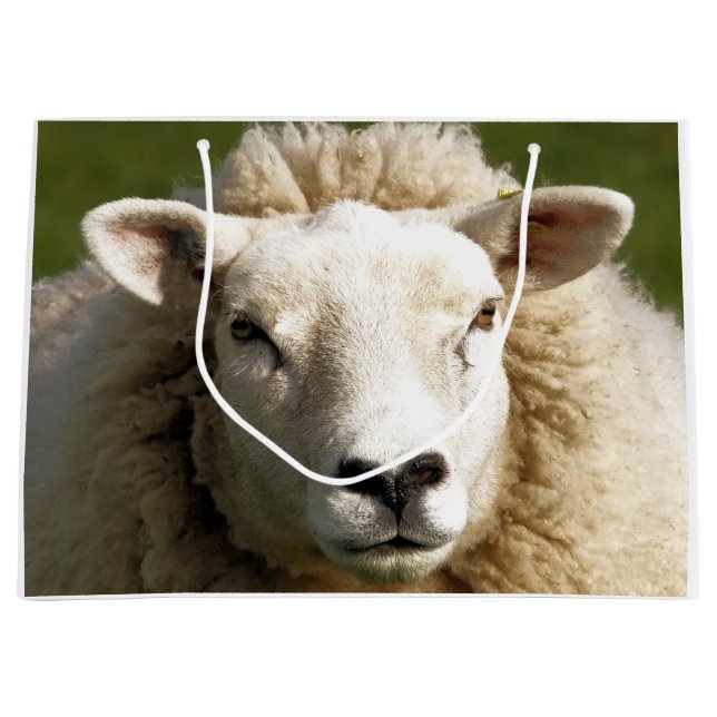 GRAND SAC CADEAU SHEEP (Devant)