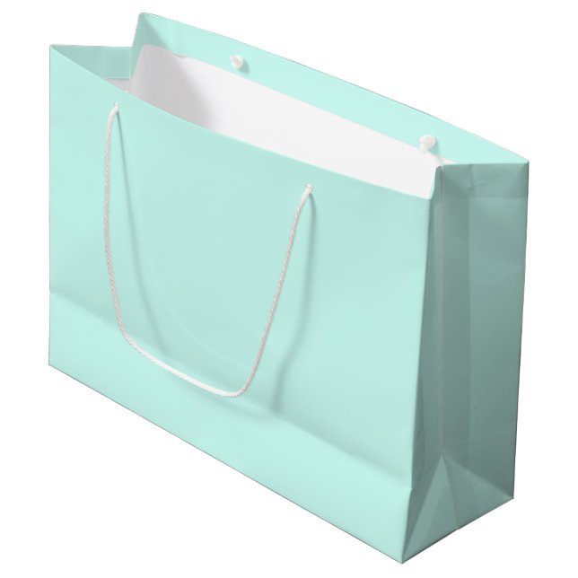 Grand Sac Cadeau Solid cameo green mint soft turquoise (Devant Angle)