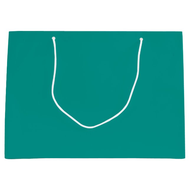 Grand Sac Cadeau Solid Teal Green (Devant)
