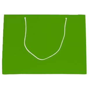 Grand Sac Cadeau Solide Jolly Green