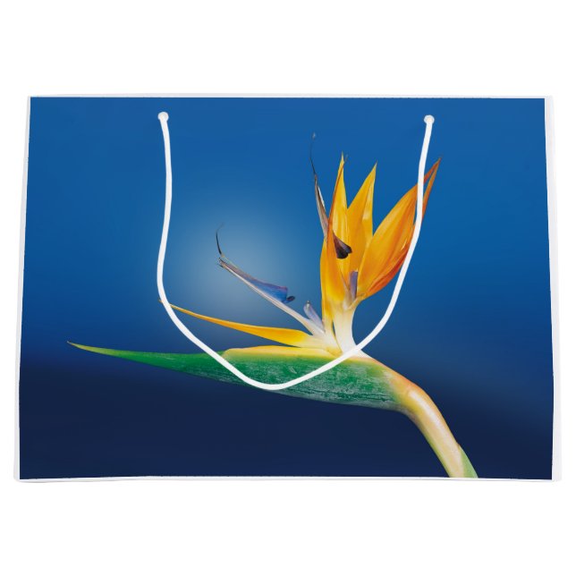 Grand Sac Cadeau Strelitzia. Oiseau de fleur de paradis (Devant)