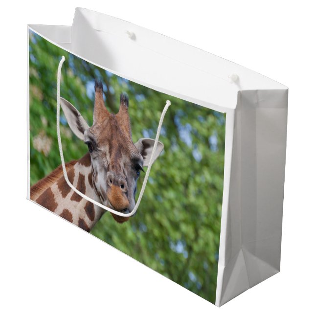 Grand Sac Cadeau Sweet Curios Giraffe (Devant Angle)