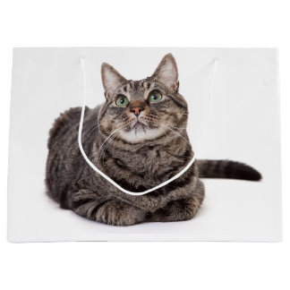 Grand Sac Cadeau Tabby Gris