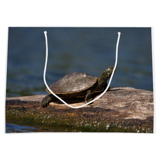 Grand Sac Cadeau Tortue peinte sur un bûcher (Devant)