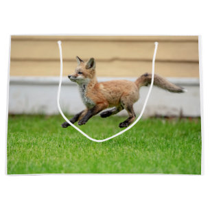 Grand Sac Cadeau Trousse Red Fox dans la vallée de l'Hudson