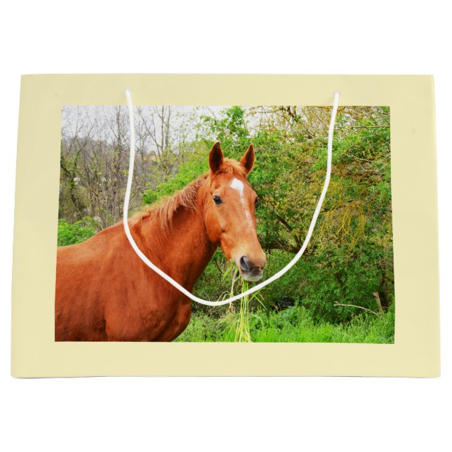 Grand Sac Cadeau Un cheval appelé Orion (Devant)
