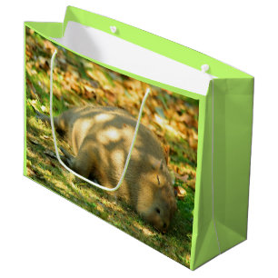 Grand Sac Cadeau Un mignon rêve de Capybara dans le soleil d'été
