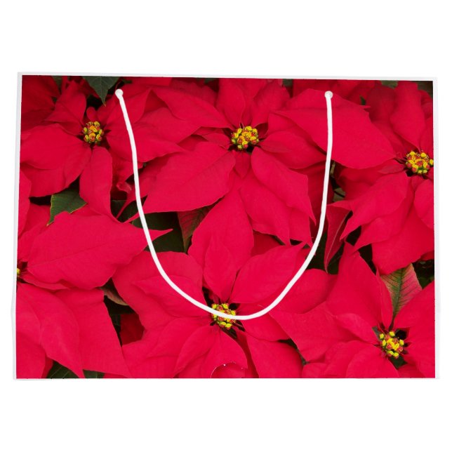 Grand Sac Cadeau Un tas de Poinsettias de Noël aux couleurs vives (Dos)