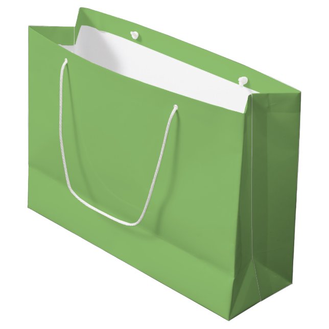 Grand Sac Cadeau Véritable Pistachio Vert (Devant Angle)
