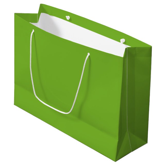 Grand Sac Cadeau Vert (Devant Angle)