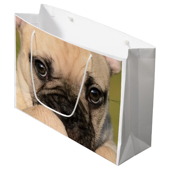 Grand Sac Cadeau Yeux d'un chiot mignon de bouledogue français (Devant Angle)