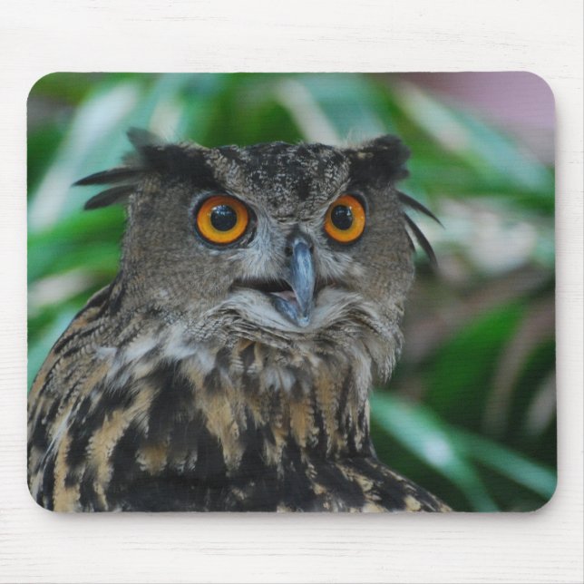Grand tapis de souris de hibou (Devant)