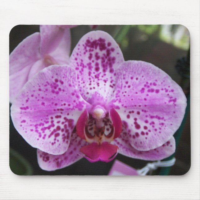 Grand tapis de souris pourpre d'orchidée (Devant)