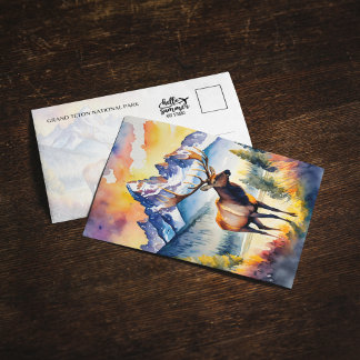 Grand Teton National Park Elk Wyoming Carte postal