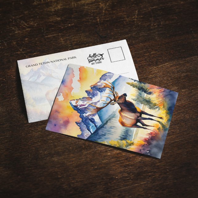 Grand Teton National Park Elk Wyoming Carte postal (Créateur téléchargé)