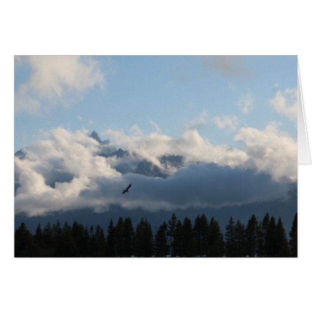 Grand Tétons et faucon (Devant horizontal)