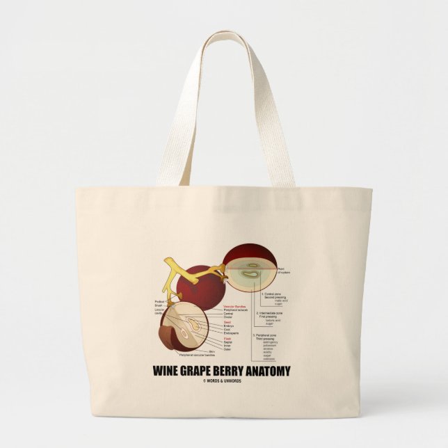 Grand Tote Bag Anatomie de baie de raisin de cuve (diagramme (Devant)