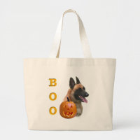 Belge Malinois Boo