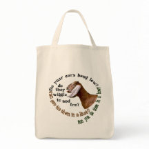 CHÈVRE DE NUBIAN - VOS OREILLES ACCROCHENT-ELLES