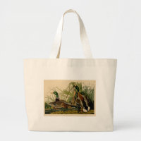 Peinture d'oiseaux de Mallard Duck Audubon