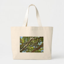 Pinson des arbres