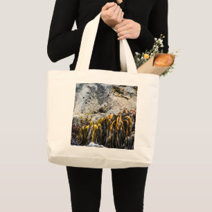Grand Tote Bag Young Fur Seal On The Rock
