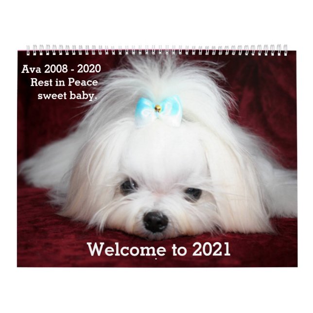 GrandCalendrier de deux pages, Calendrier blanc (Protection)