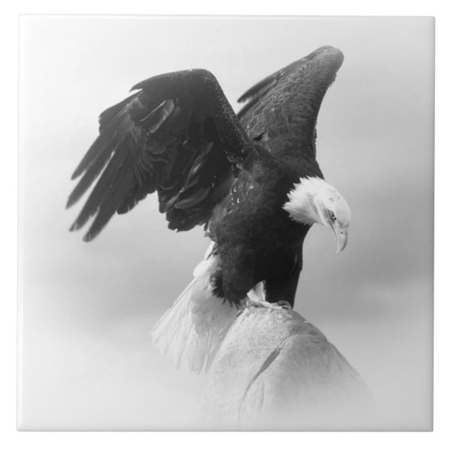 Grande (6" X 6") Carreaux photo en céramique (Devant)