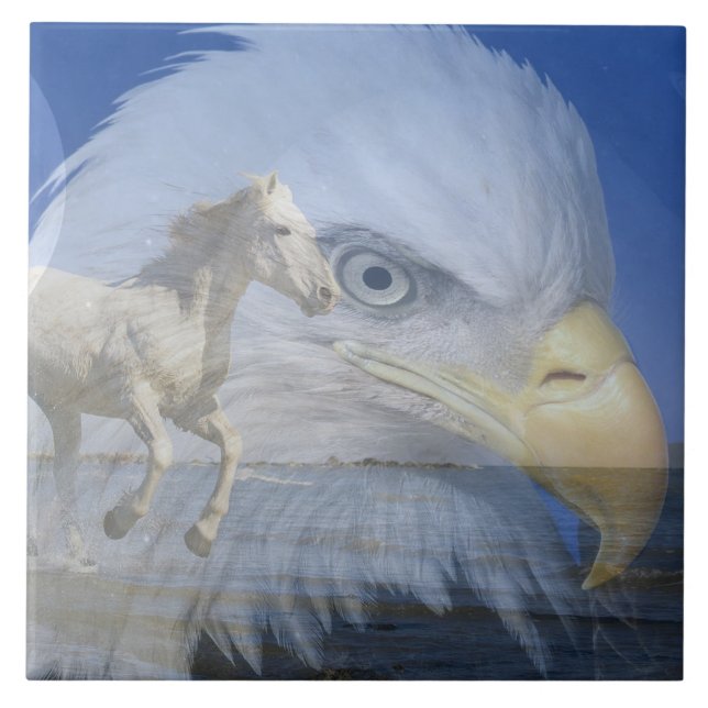 Grande (6" X 6") Carreaux photo en céramique (Devant)