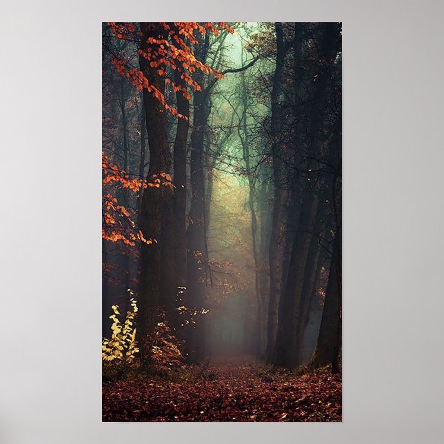 Grande affiche de la nature (Devant)