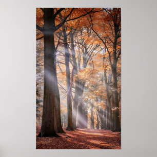 Grande affiche de la nature