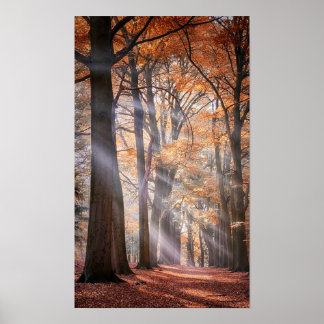 Grande affiche de la nature