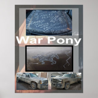 Grande affiche de War Pony