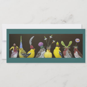 Grande carte à plat Eddy