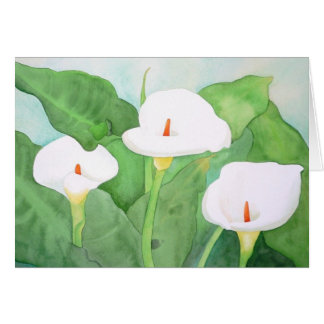 Grande carte de Sur CalaLillies