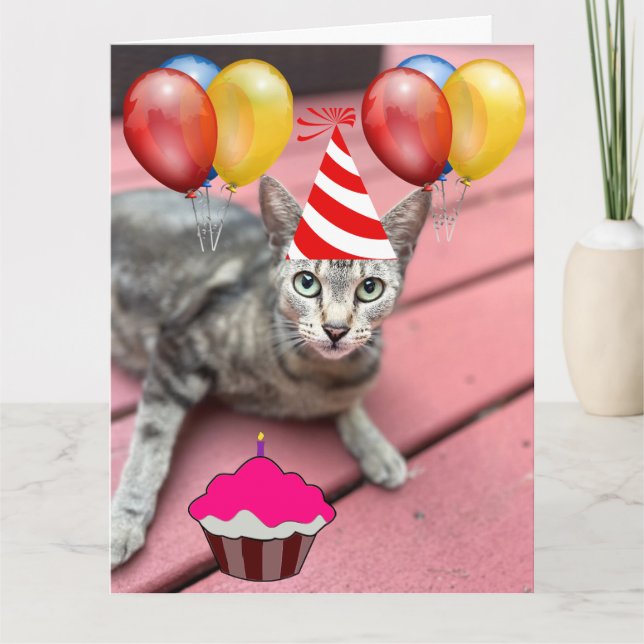 GRANDE carte de voeux CUTE CAT ANNIVERSAIRE (Devant)