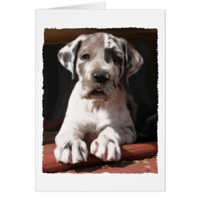 Grande carte de voeux Dane Puppy (Devant)